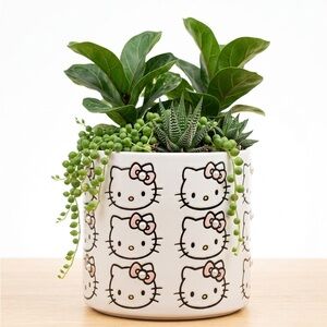 Hello Kitty White Ceramic Planter with Pink Bow Accents